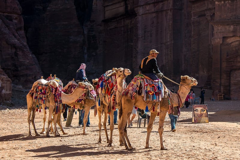 The Lost City of Petra, Jordan